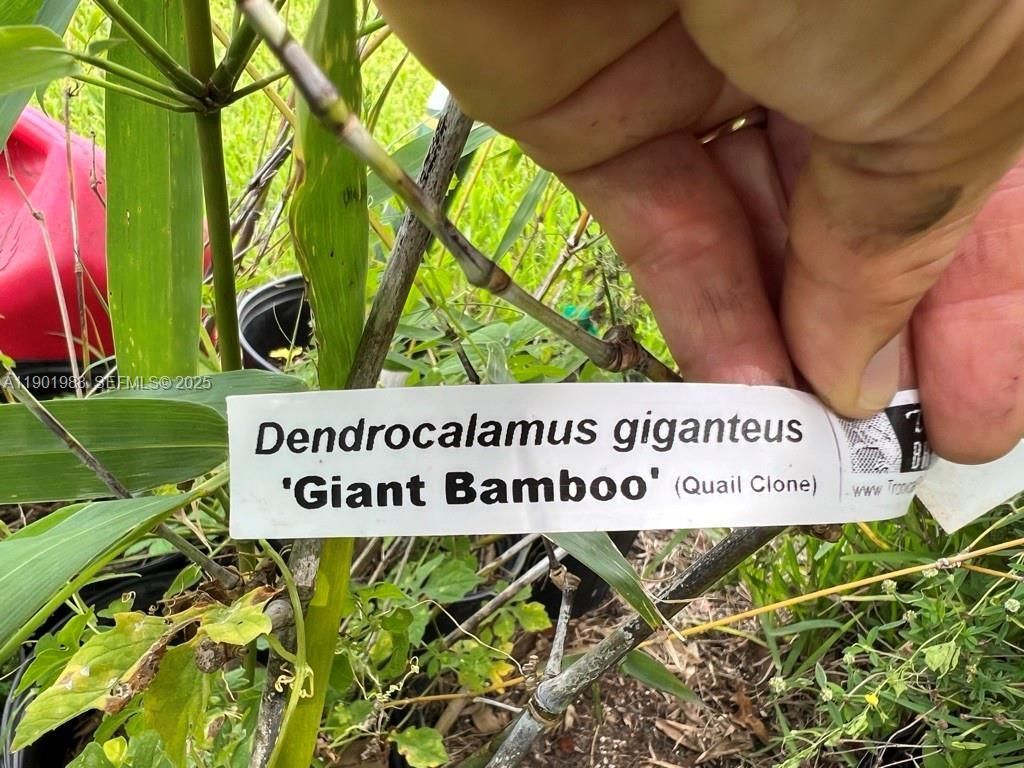 12600 SW Conners Highway, Okeechobee, FL 34974 Photo