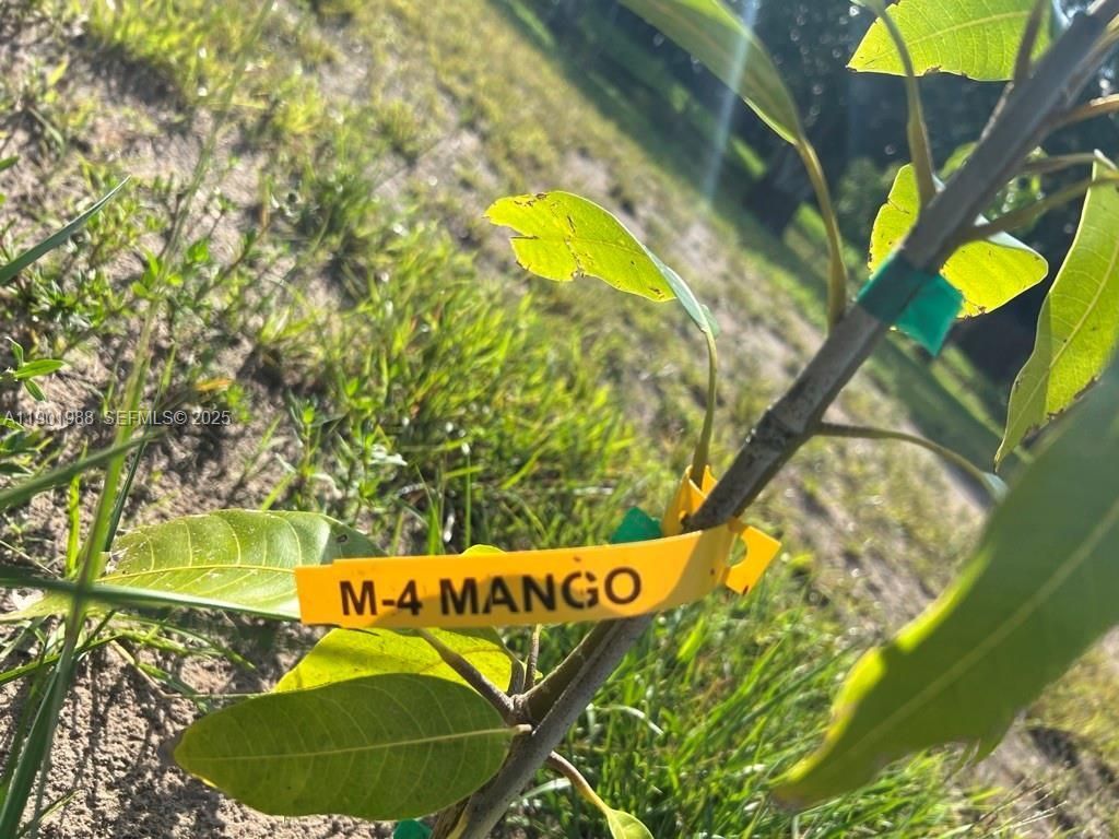 12600 SW Conners Highway, Okeechobee, FL 34974 Photo