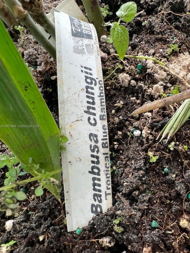 12600 SW Conners Highway, Okeechobee, FL 34974 Photo