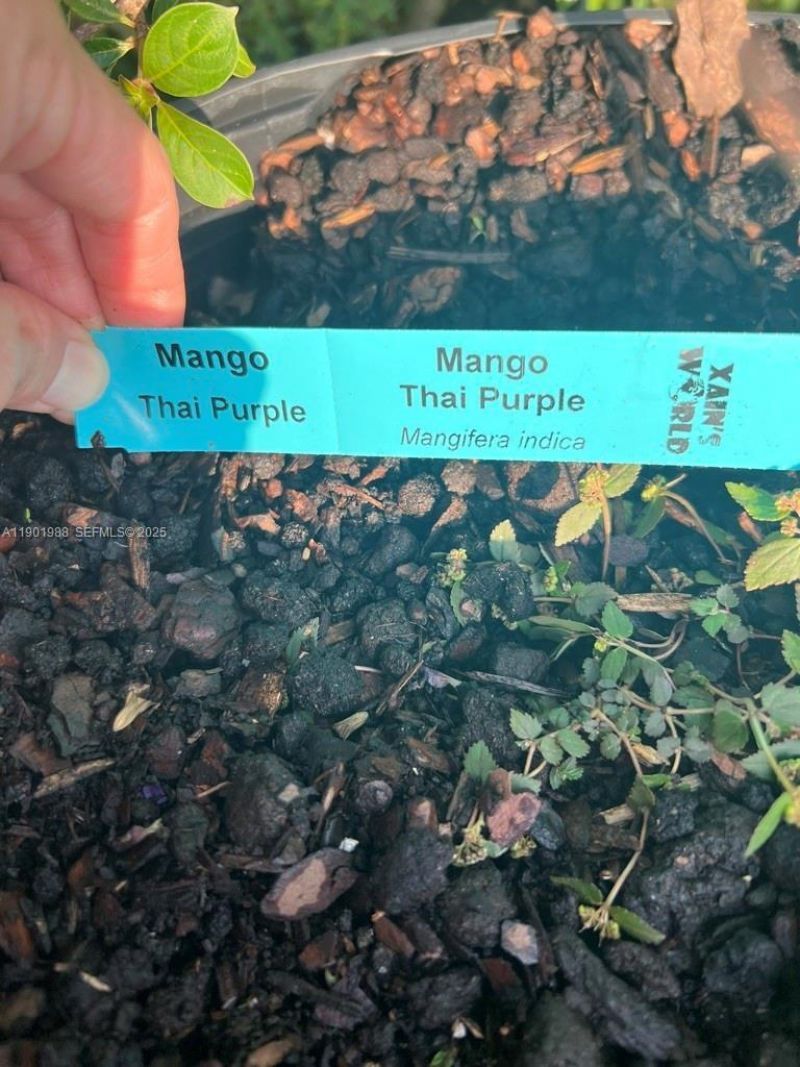 12600 SW Conners Highway, Okeechobee, FL 34974 Photo