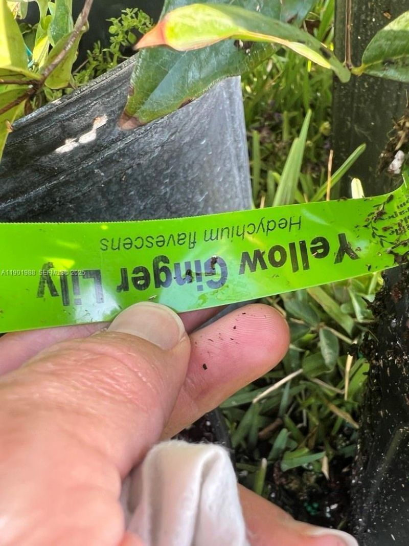 12600 SW Conners Highway, Okeechobee, FL 34974 Photo