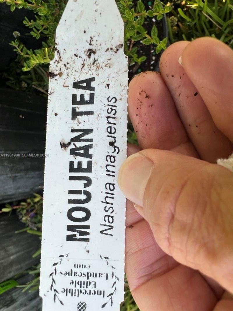 12600 SW Conners Highway, Okeechobee, FL 34974 Photo