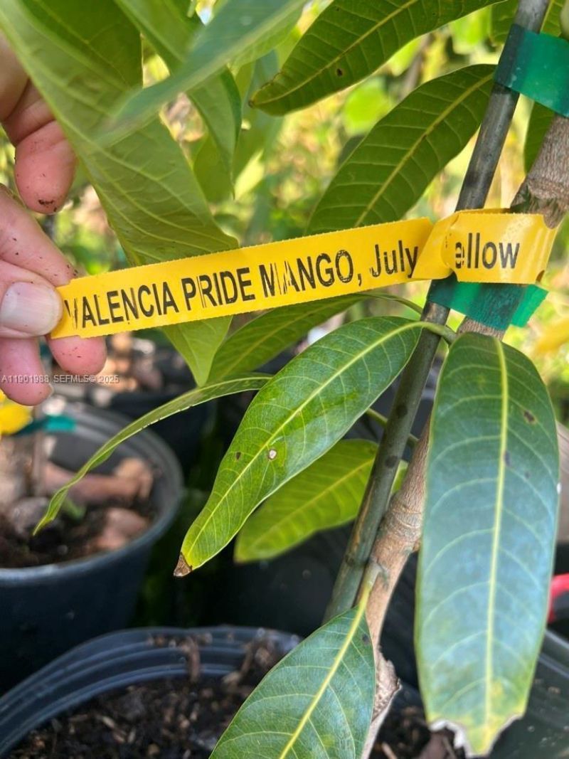 12600 SW Conners Highway, Okeechobee, FL 34974 Photo