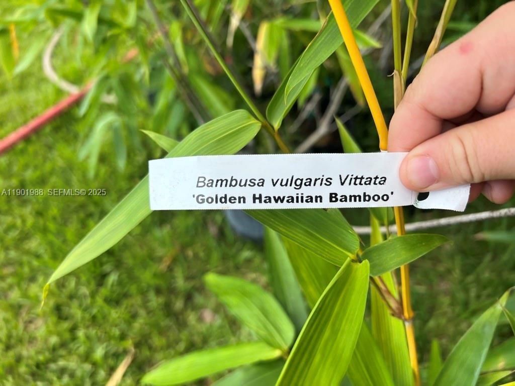 12600 SW Conners Highway, Okeechobee, FL 34974 Photo