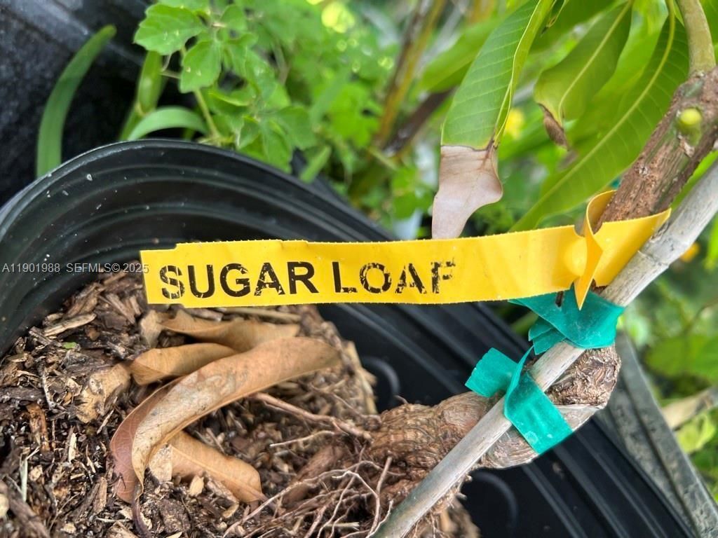 12600 SW Conners Highway, Okeechobee, FL 34974 Photo