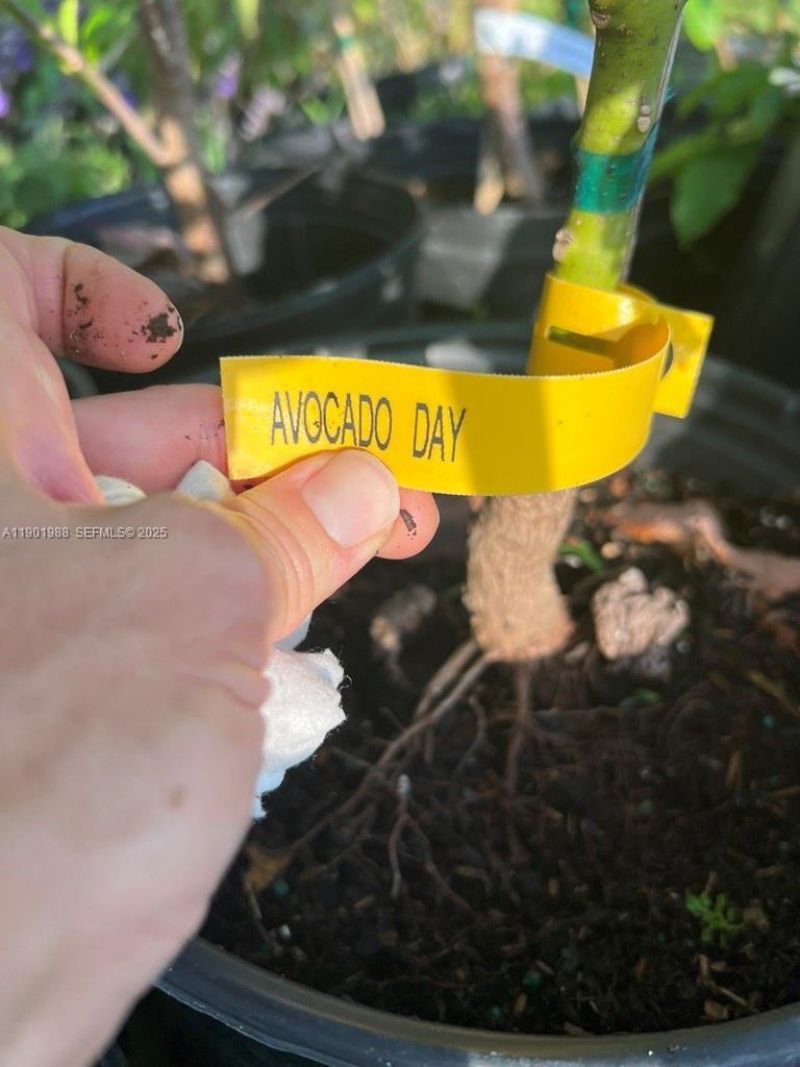 12600 SW Conners Highway, Okeechobee, FL 34974 Photo