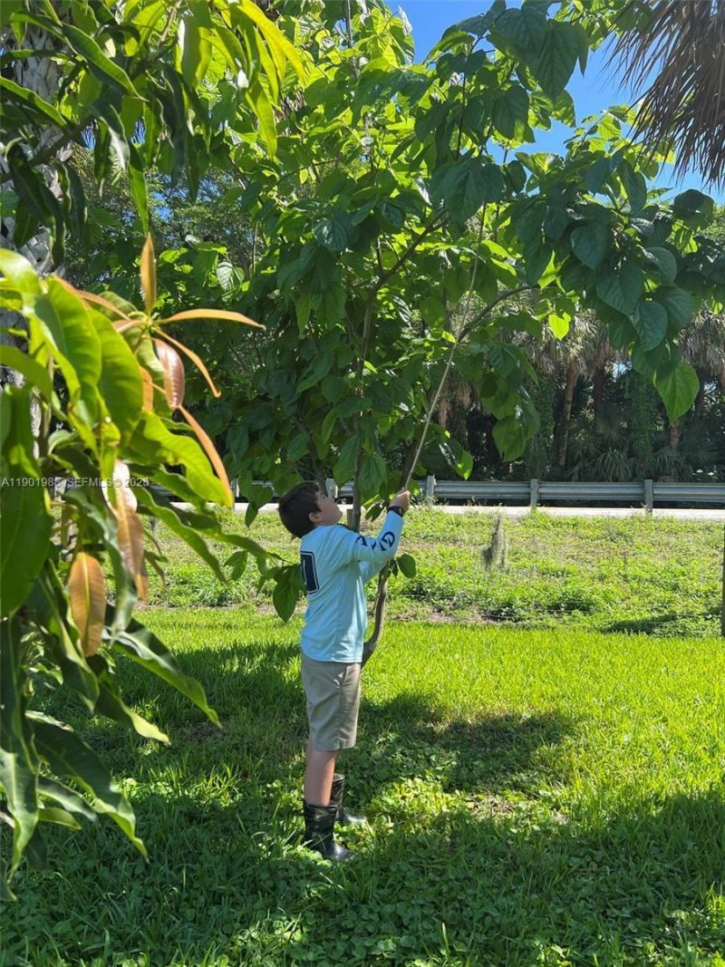 12600 SW Conners Highway, Okeechobee, FL 34974 Photo