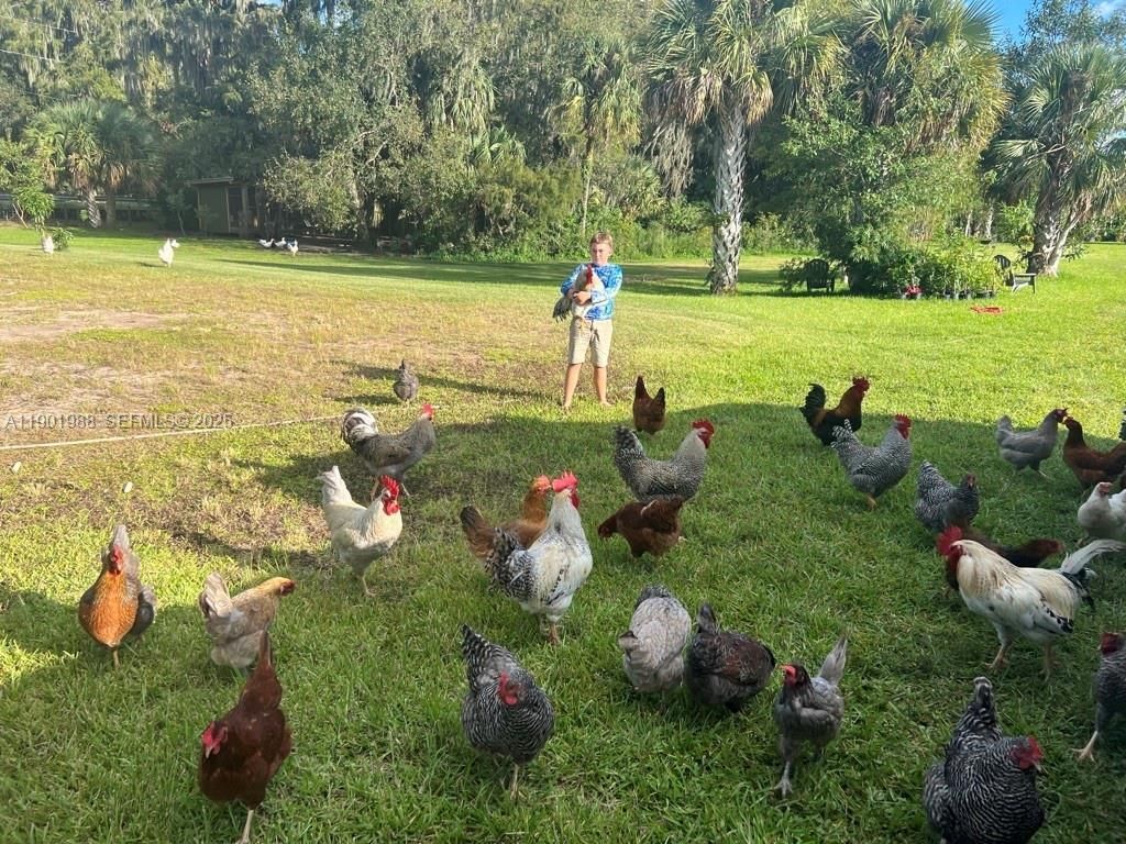 12600 SW Conners Highway, Okeechobee, FL 34974 Photo