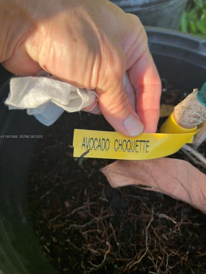 12600 SW Conners Highway, Okeechobee, FL 34974 Photo