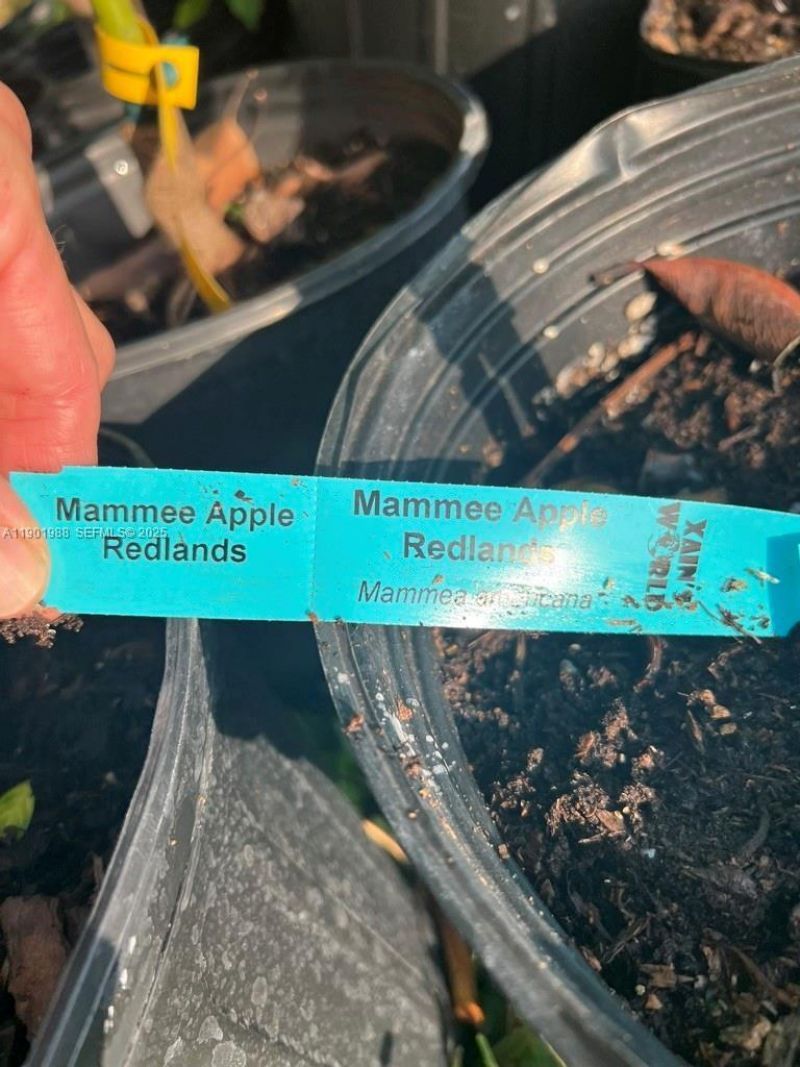 12600 SW Conners Highway, Okeechobee, FL 34974 Photo