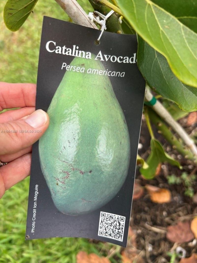 12600 SW Conners Highway, Okeechobee, FL 34974 Photo