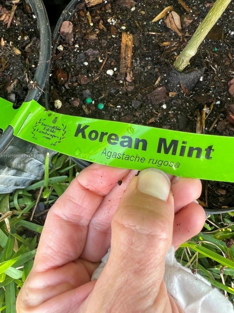 12600 SW Conners Highway, Okeechobee, FL 34974 Photo