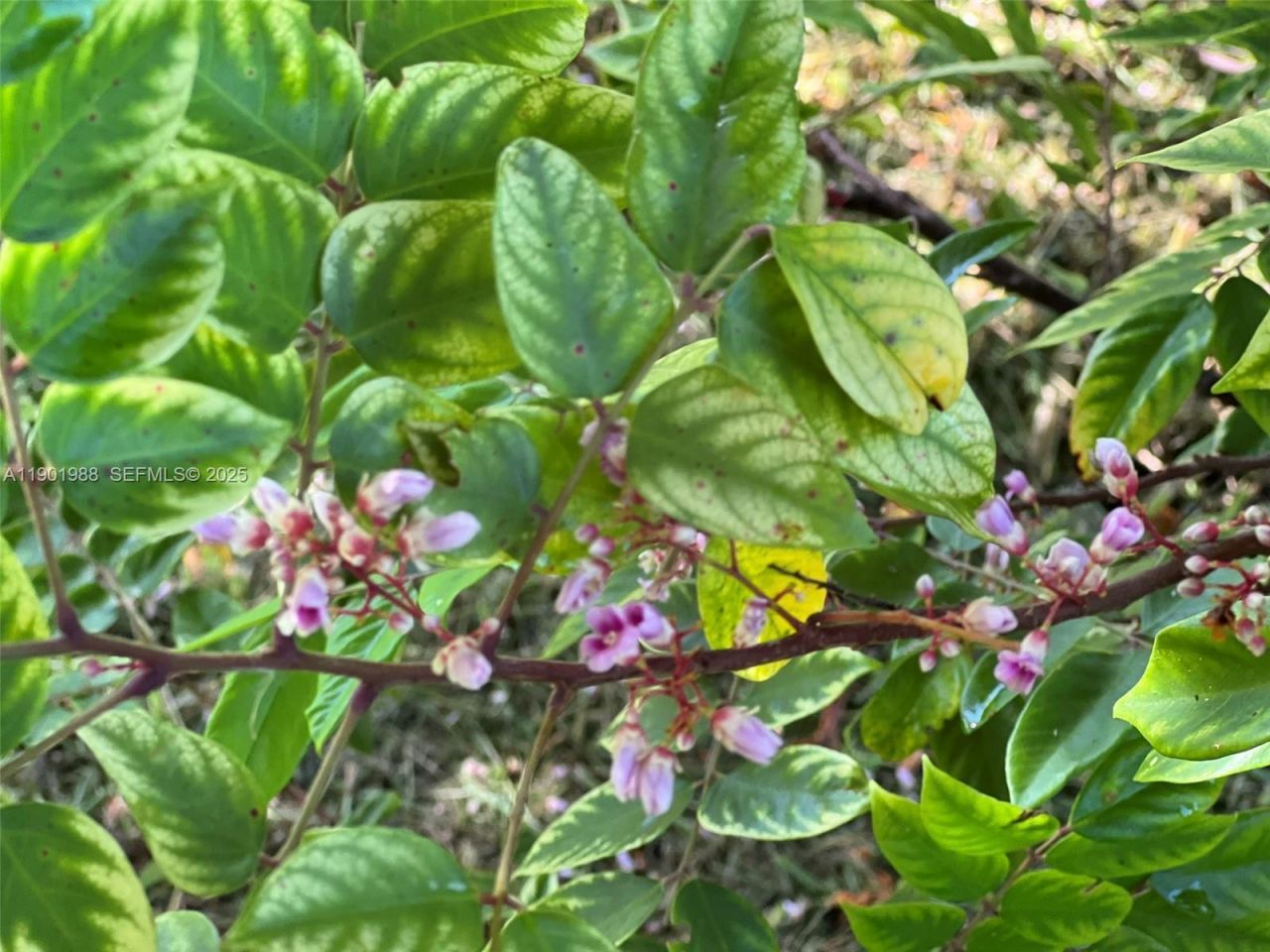 12600 SW Conners Highway, Okeechobee, FL 34974 Photo