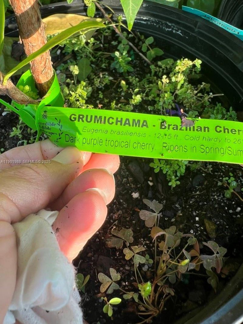 12600 SW Conners Highway, Okeechobee, FL 34974 Photo