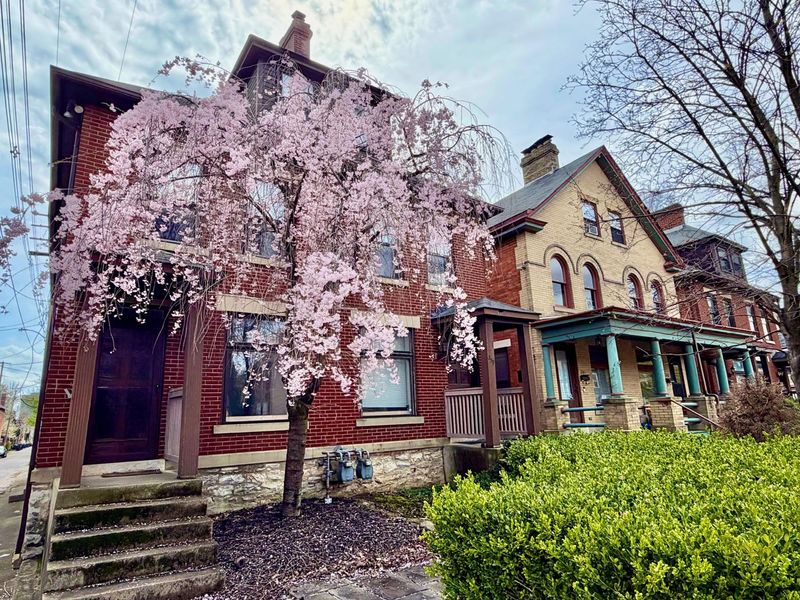 237 Collins Avenue, Columbus, OH 43215 Photo 2