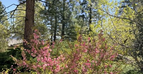 16770 Mt Rose Highway, Reno, NV 89511 Photo