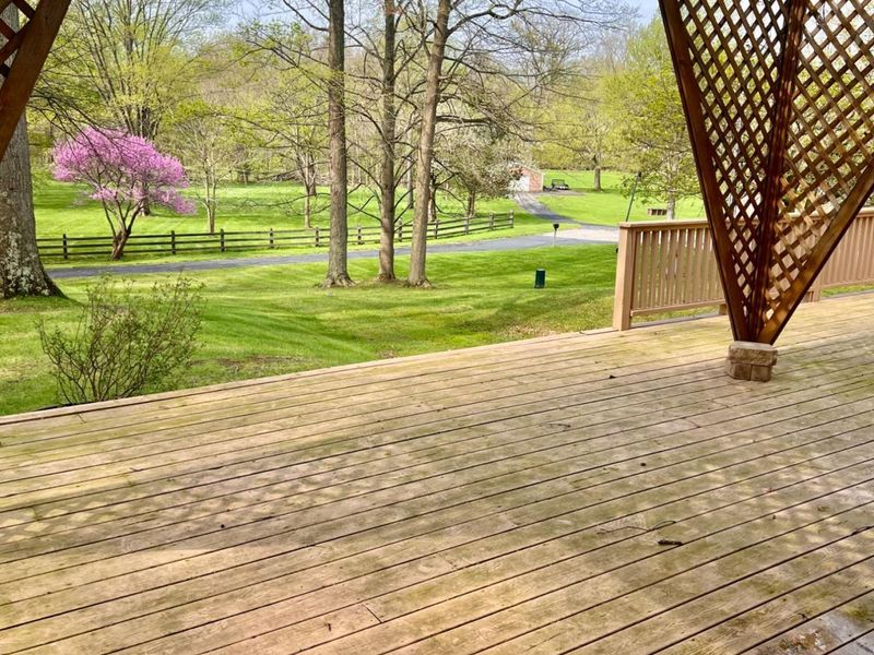 54 Harris Avenue, Norwalk, OH 44857 Photo 19