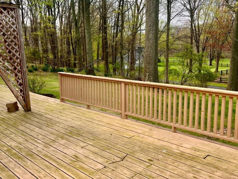 54 Harris Avenue, Norwalk, OH 44857 Photo 20