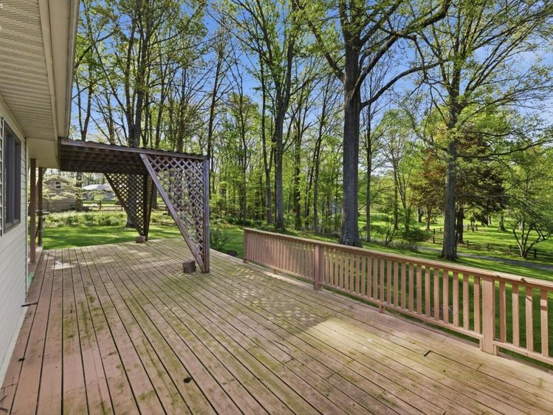 54 Harris Avenue, Norwalk, OH 44857 Photo 21