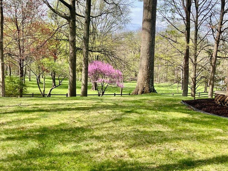 54 Harris Avenue, Norwalk, OH 44857 Photo 23