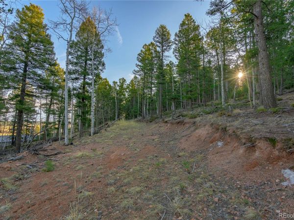 88 Malmsey Lane , Divide, CO 80814