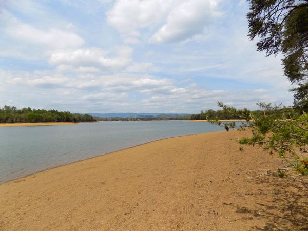 3753 Lake Point Drive, Morristown, TN 37814