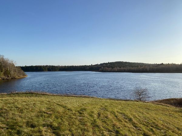 Lot 52 Old Route 1, Jonesboro, ME 04648