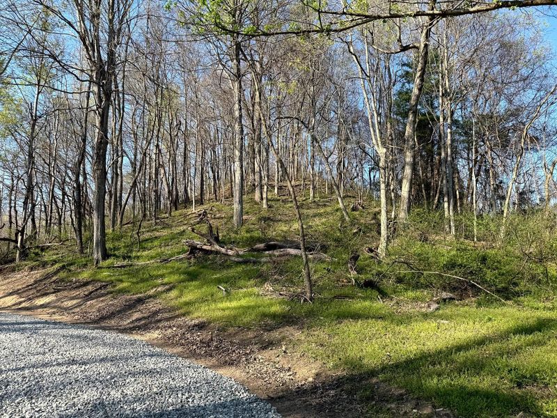 0 Little Kyger Road, Unit (Little Ky, Cheshire, OH 45620 Photo 15