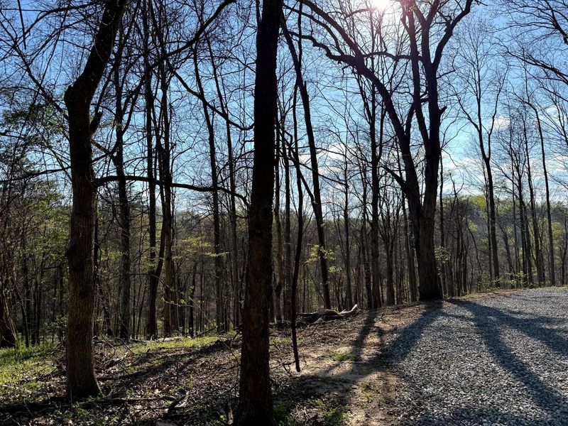 0 Little Kyger Road, Unit (Little Ky, Cheshire, OH 45620 Photo 17