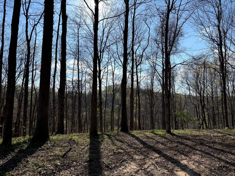 0 Little Kyger Road, Unit (Little Ky, Cheshire, OH 45620 Photo 18