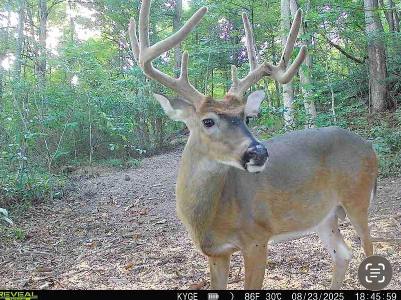 0 Little Kyger Road, Unit (Little Ky, Cheshire, OH 45620 Photo 2