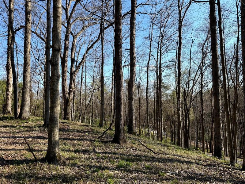 0 Little Kyger Road, Unit (Little Ky, Cheshire, OH 45620 Photo 20