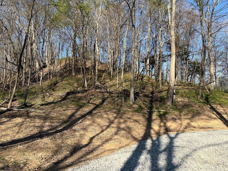 0 Little Kyger Road, Unit (Little Ky, Cheshire, OH 45620 Photo 22