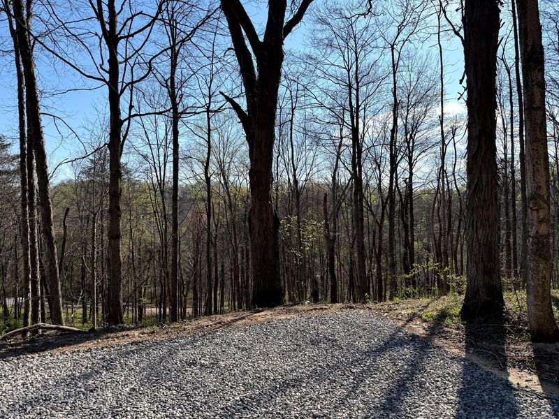 0 Little Kyger Road, Unit (Little Ky, Cheshire, OH 45620 Photo 23