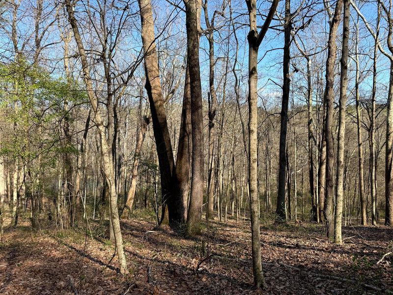 0 Little Kyger Road, Unit (Little Ky, Cheshire, OH 45620 Photo 26