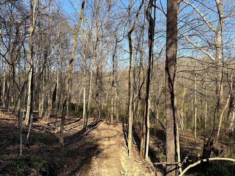 0 Little Kyger Road, Unit (Little Ky, Cheshire, OH 45620 Photo 27