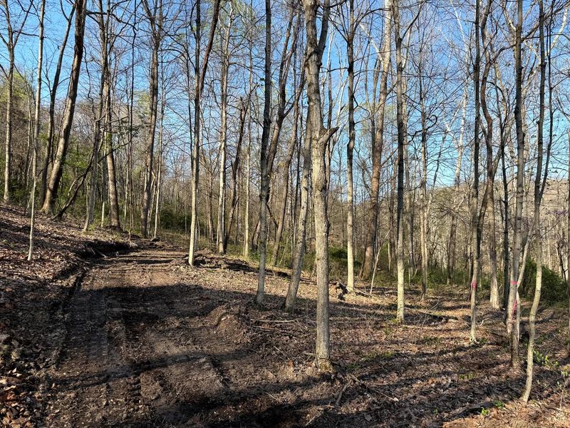 0 Little Kyger Road, Unit (Little Ky, Cheshire, OH 45620 Photo 28