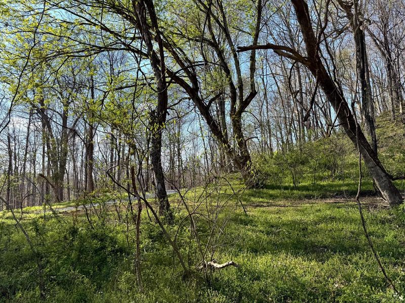 0 Little Kyger Road, Unit (Little Ky, Cheshire, OH 45620 Photo 29