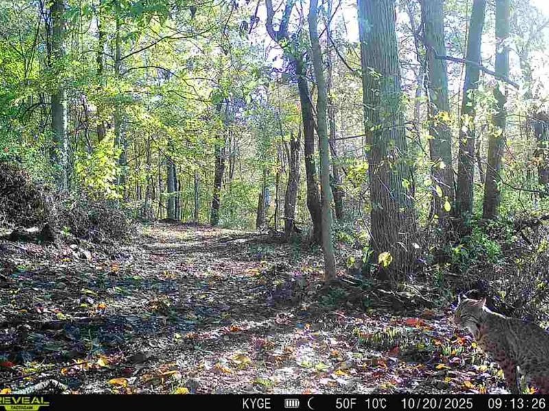 0 Little Kyger Road, Unit (Little Ky, Cheshire, OH 45620 Photo 3