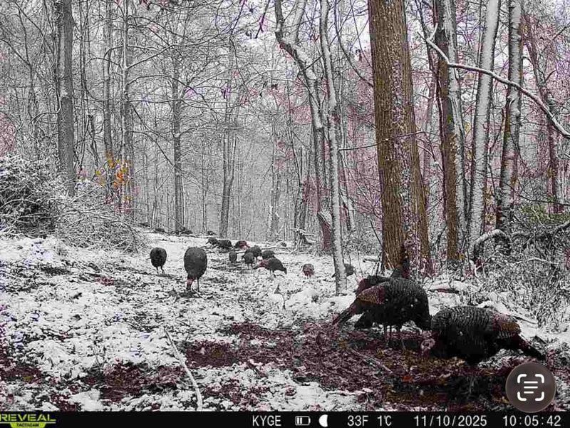 0 Little Kyger Road, Unit (Little Ky, Cheshire, OH 45620 Photo 4