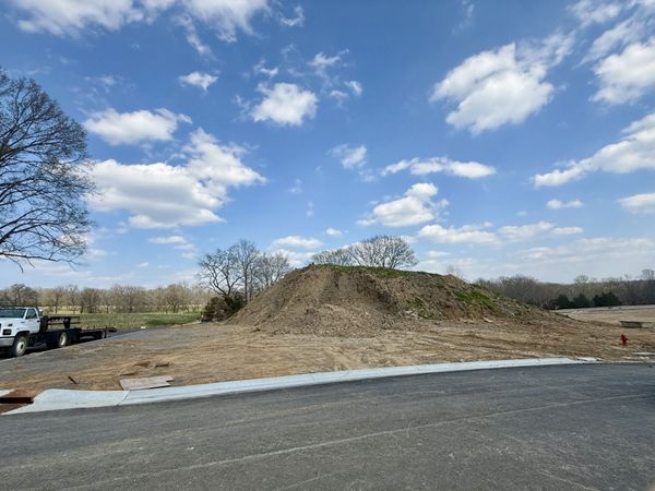 516 Jenna Ln, Arrington, TN 37014