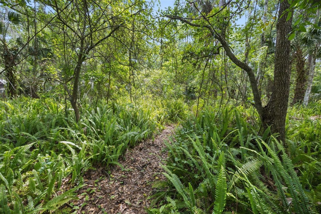 25412 Mathew Street , Christmas, FL 32709 Photo