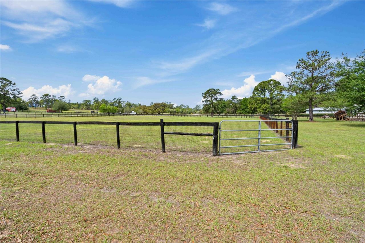 14491 SE 68th Lane , Morriston, FL 32668 Photo