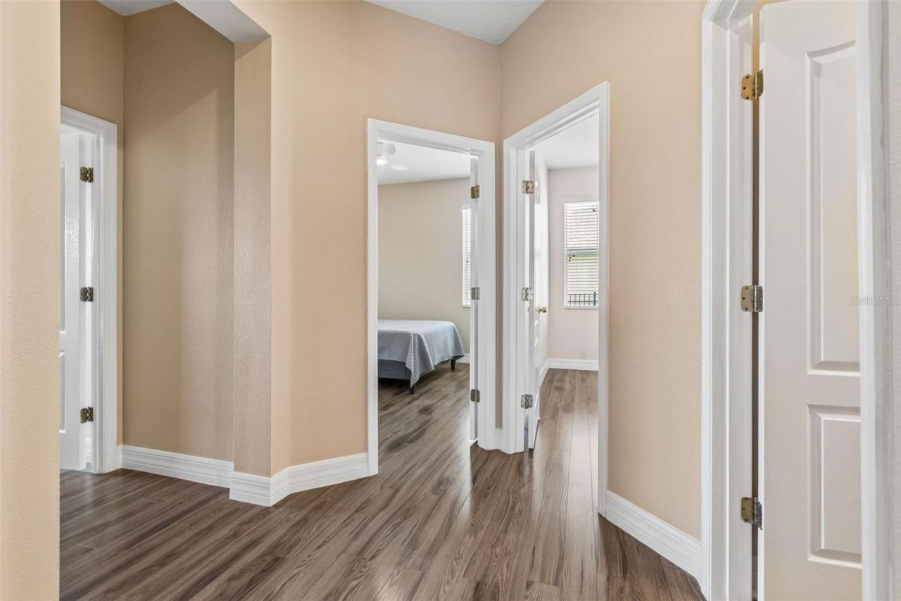 5405 Hammock View Lane, Apollo Beach, FL 33572 Photo