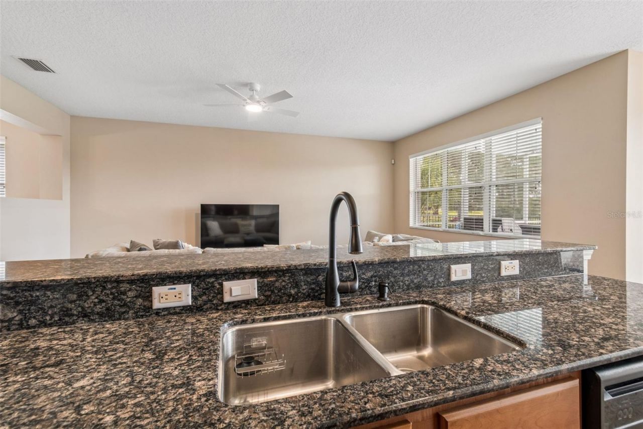 5405 Hammock View Lane, Apollo Beach, FL 33572 Photo