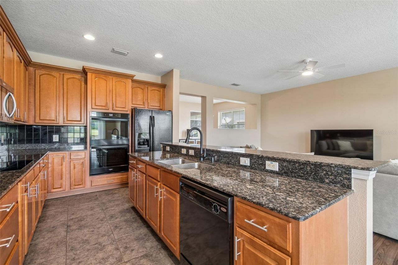 5405 Hammock View Lane, Apollo Beach, FL 33572 Photo