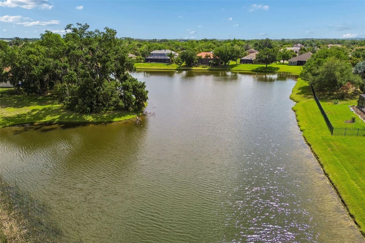 5405 Hammock View Lane, Apollo Beach, FL 33572 Photo