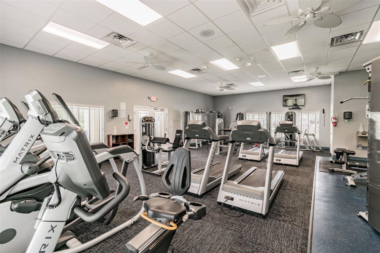 5405 Hammock View Lane, Apollo Beach, FL 33572 Photo