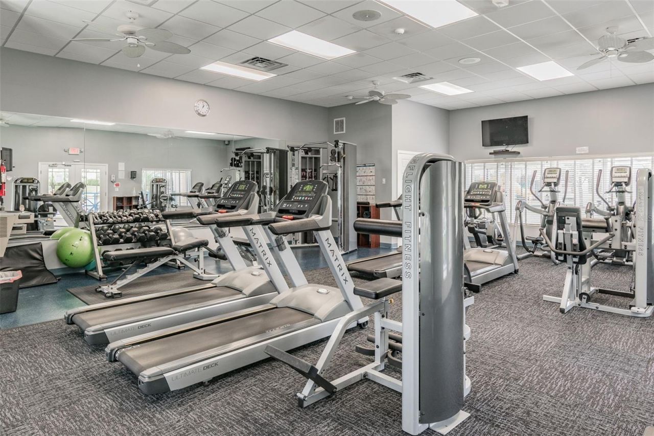 5405 Hammock View Lane, Apollo Beach, FL 33572 Photo