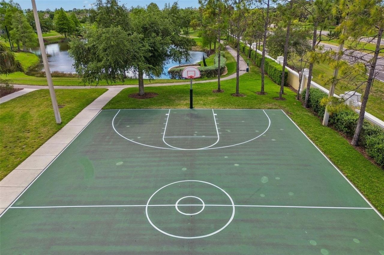 5405 Hammock View Lane, Apollo Beach, FL 33572 Photo